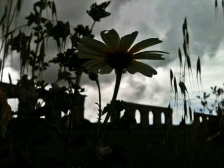 Ana Penha | Aqueduto | Sinais do Tempo. São Julião do Tojal